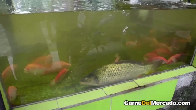 Мужик присунул член без резинки между булок брюнетки - #1